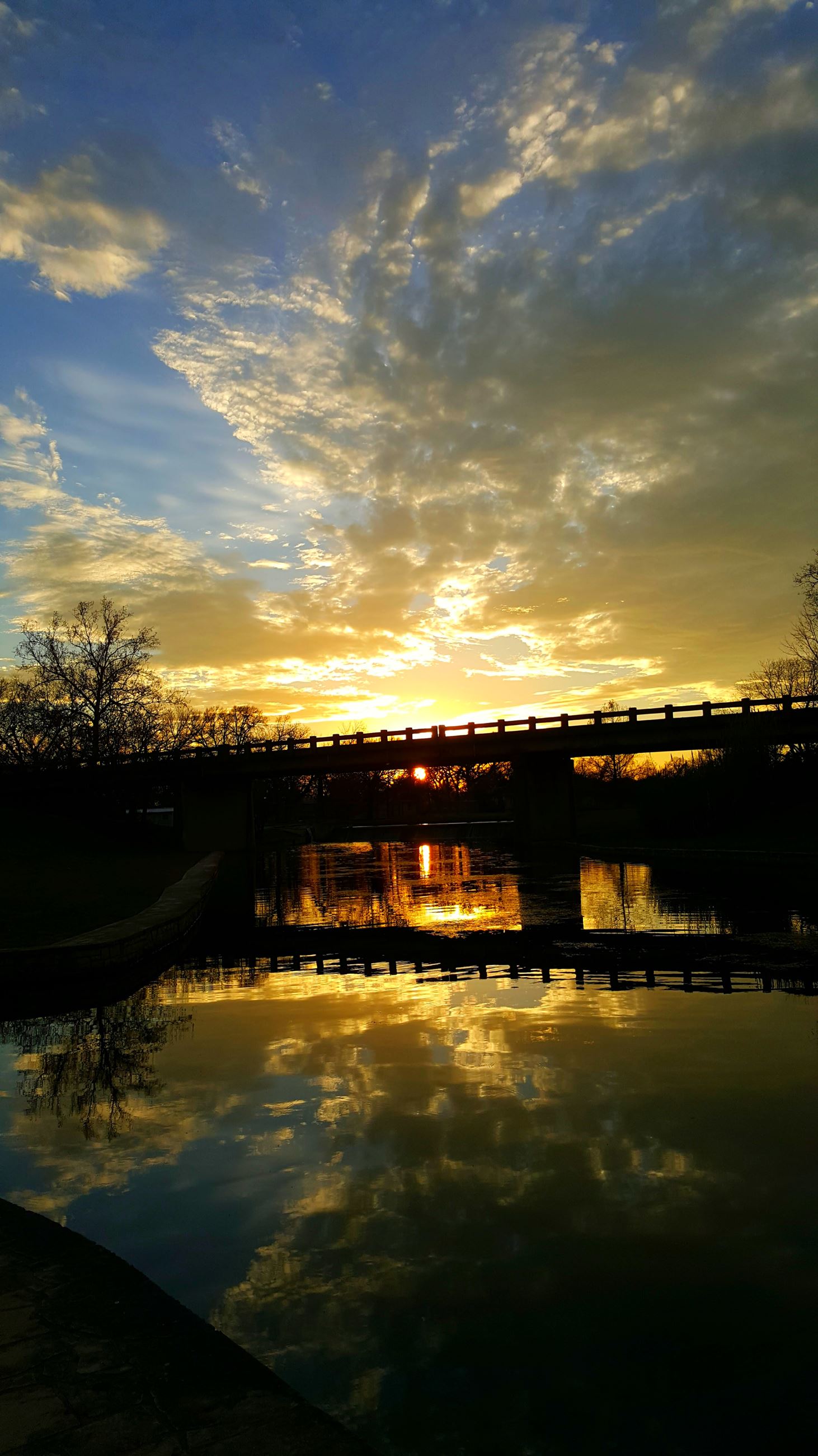 WM Brook Park-Susan Zegub 