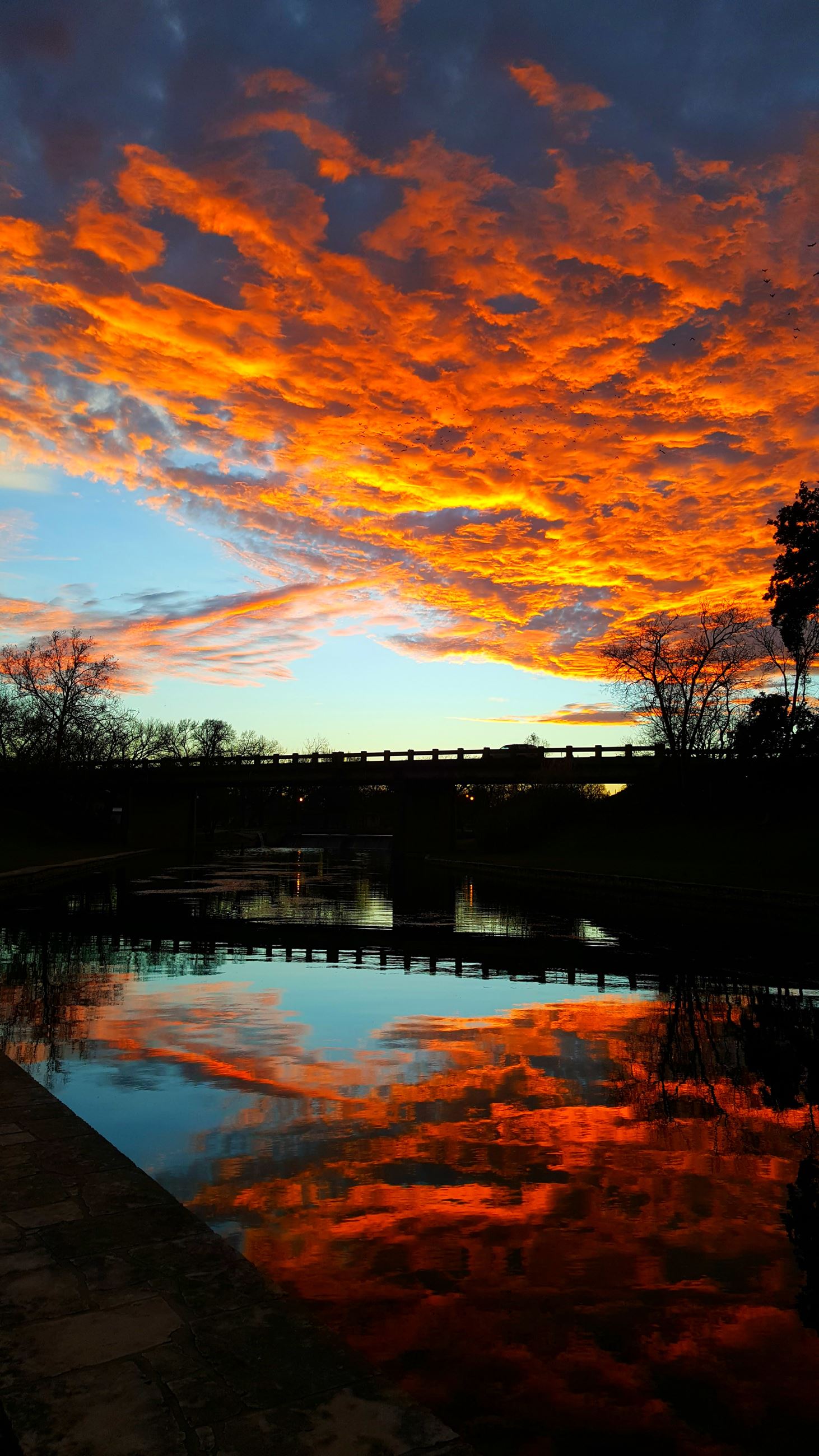 WM Brook Park-Susan Zegub