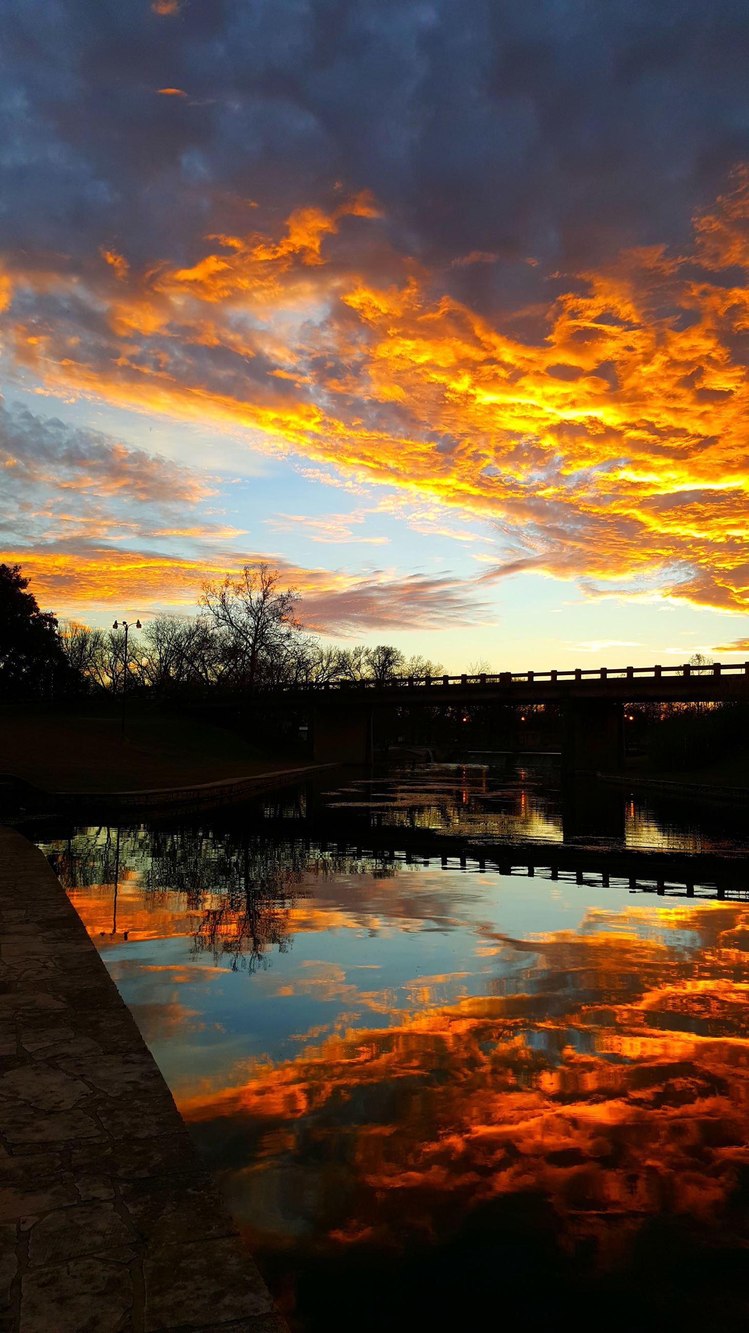 WM Brook Park-Susan Zegub