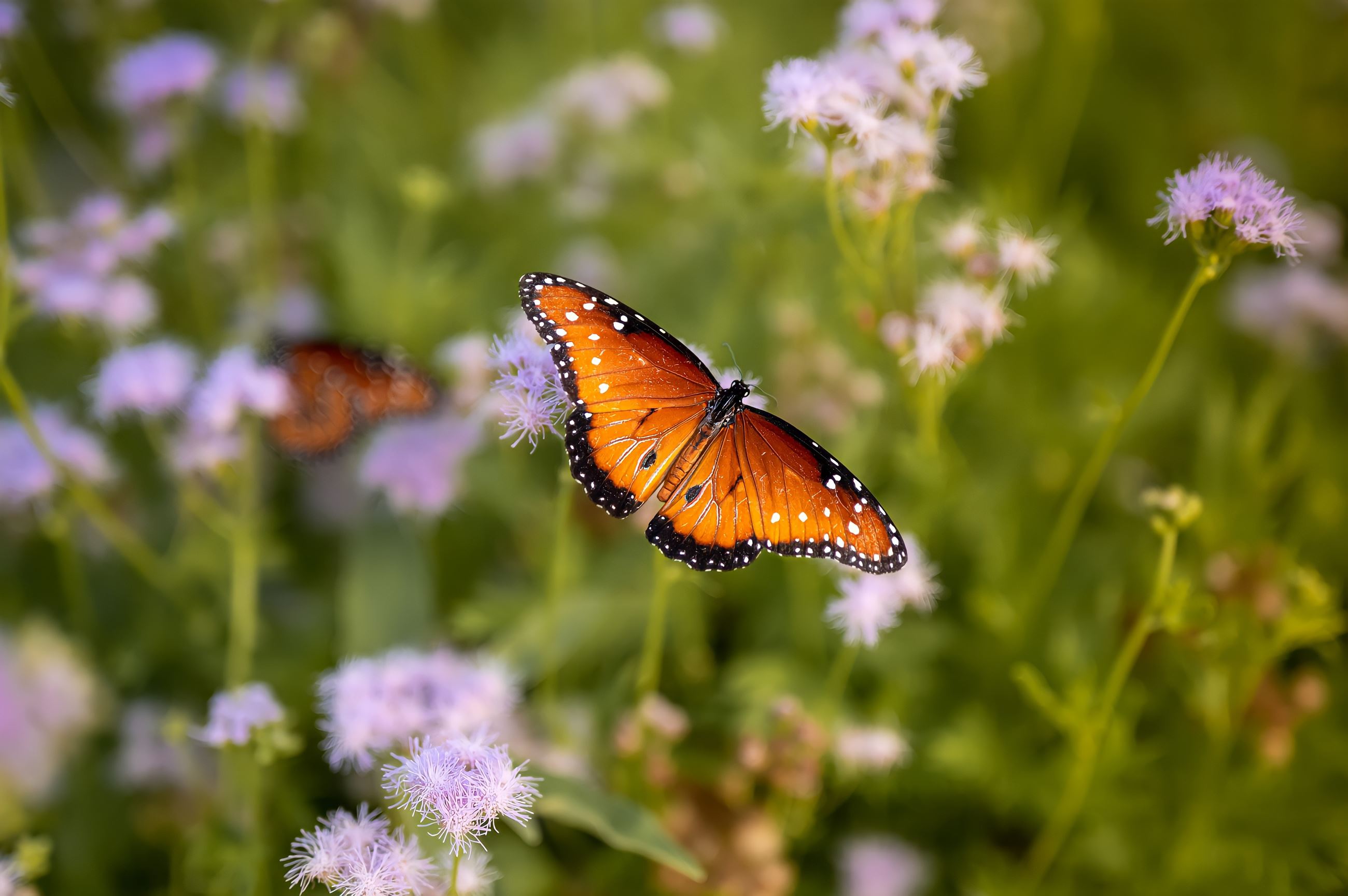 September 2022 Winner