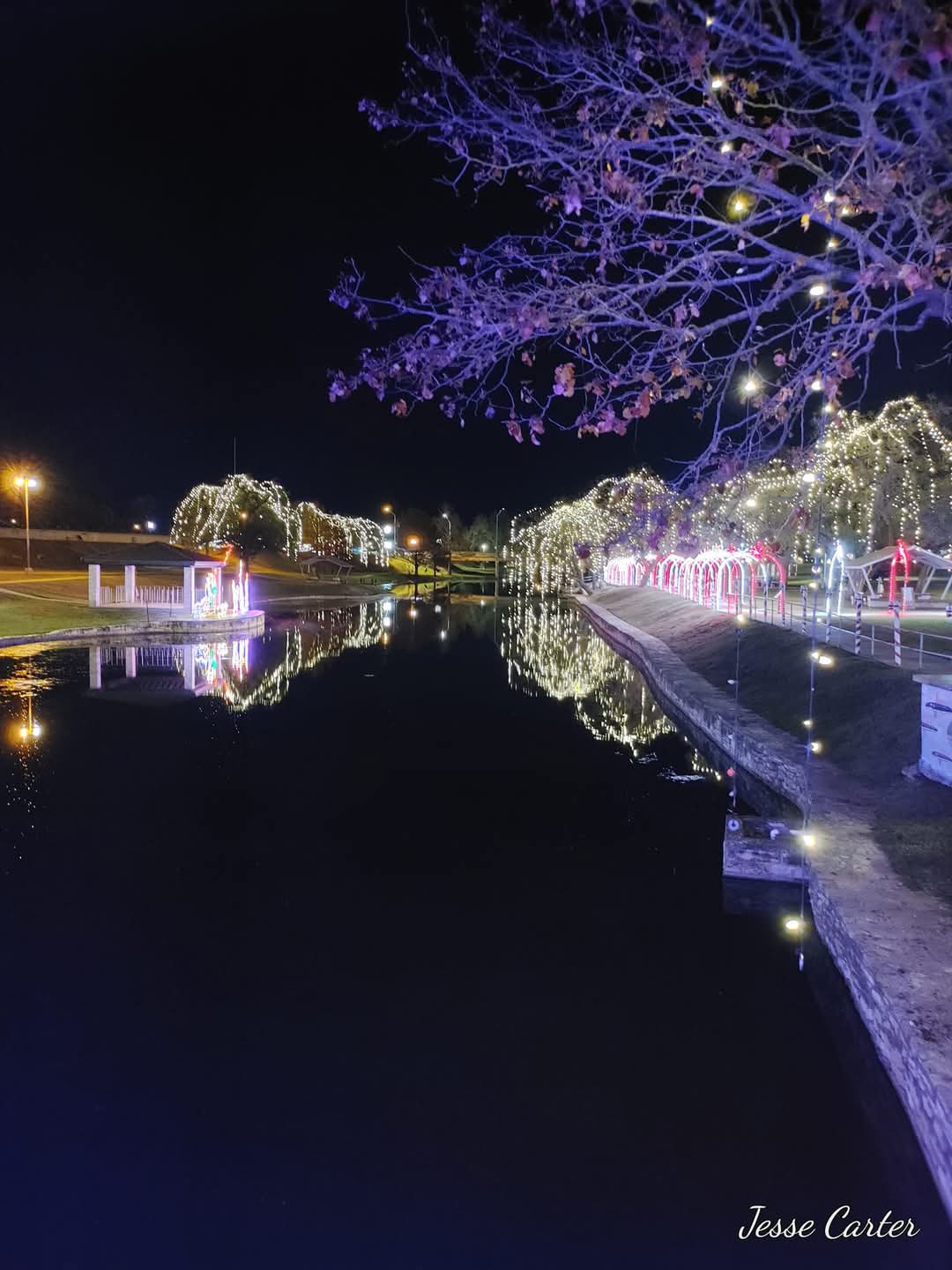 December 2024 Photo Contest Winner