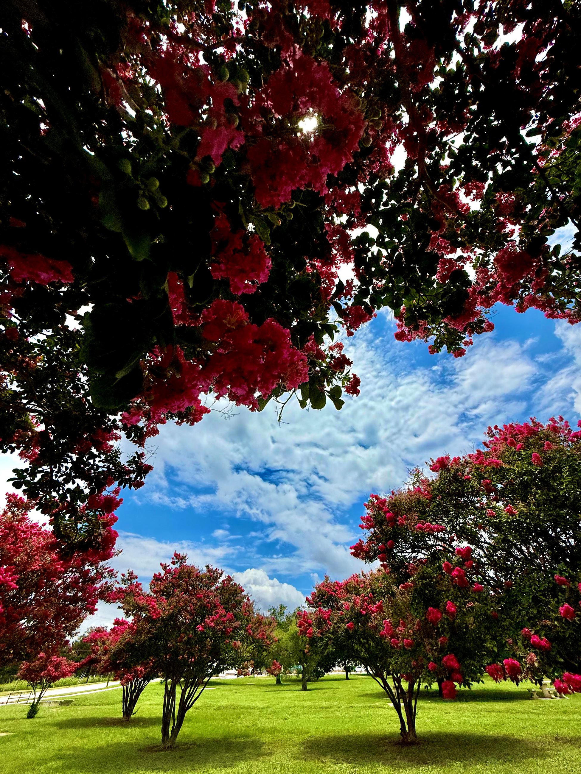 September 2025 Photo Contest Winner