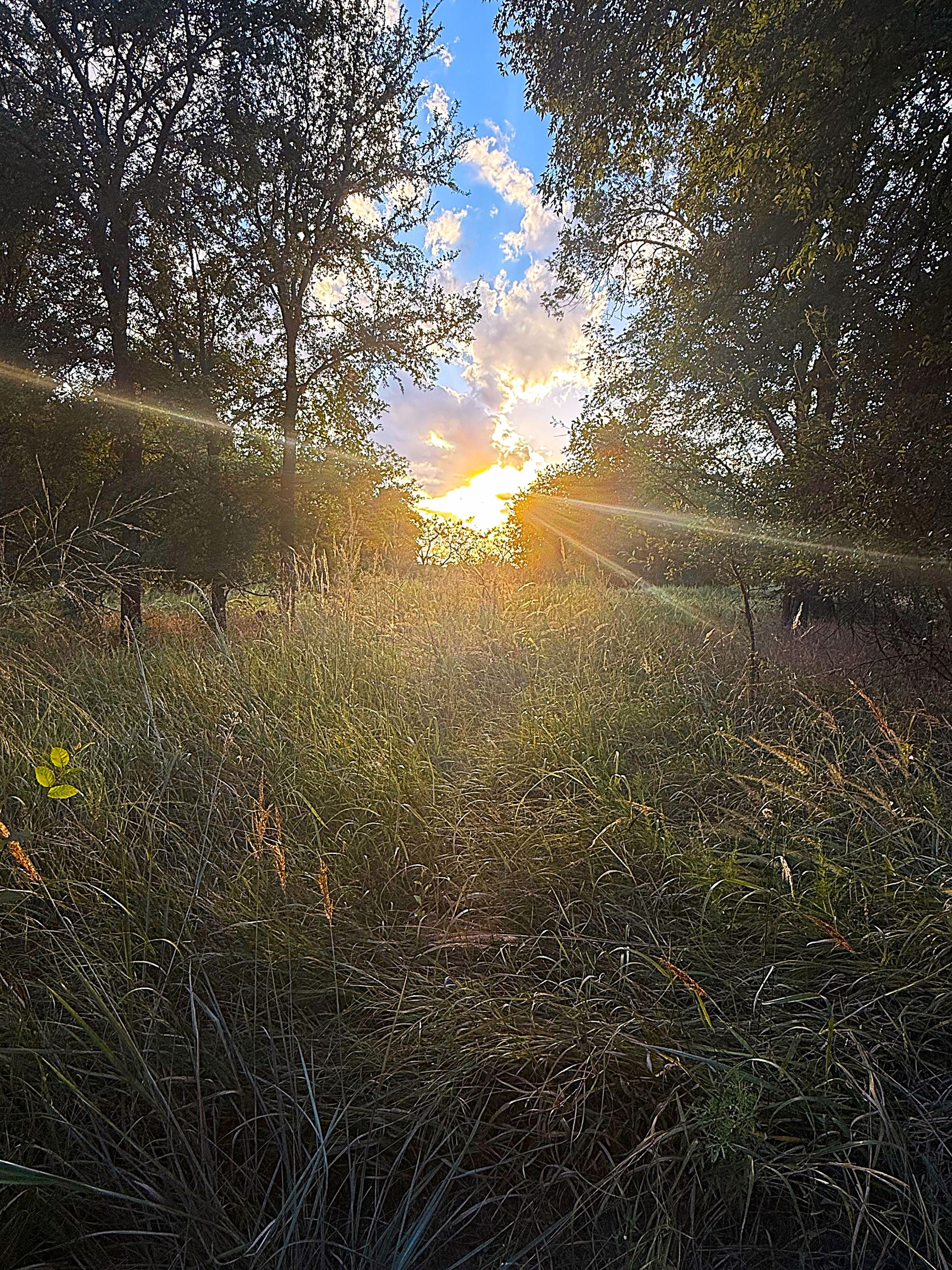 October 2025 Photo Contest Winner