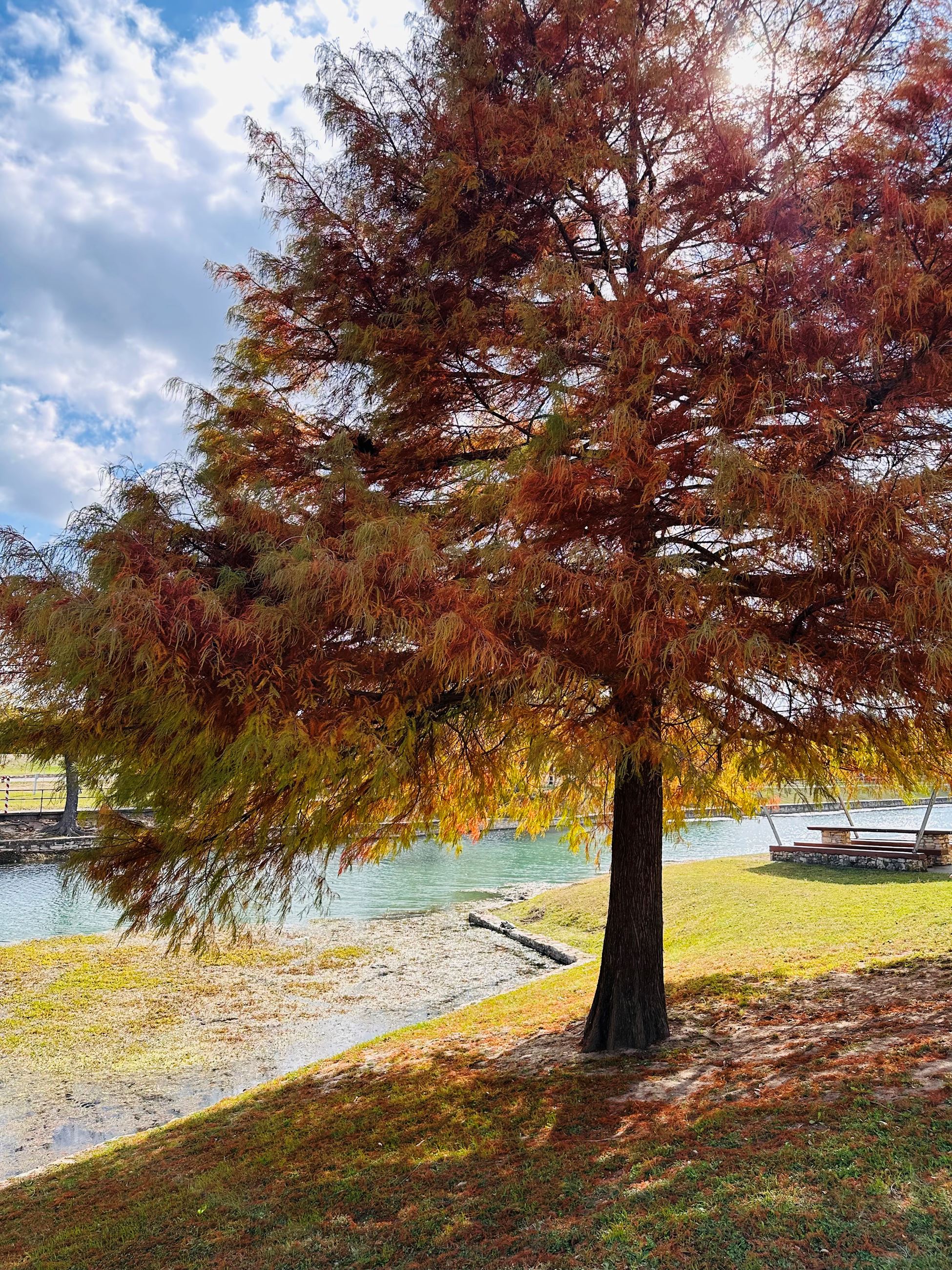 December 2025 Photo Contest Winner