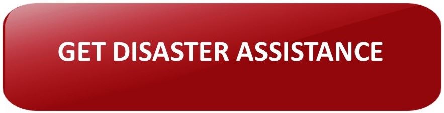 RED BUTTON Opens in new window