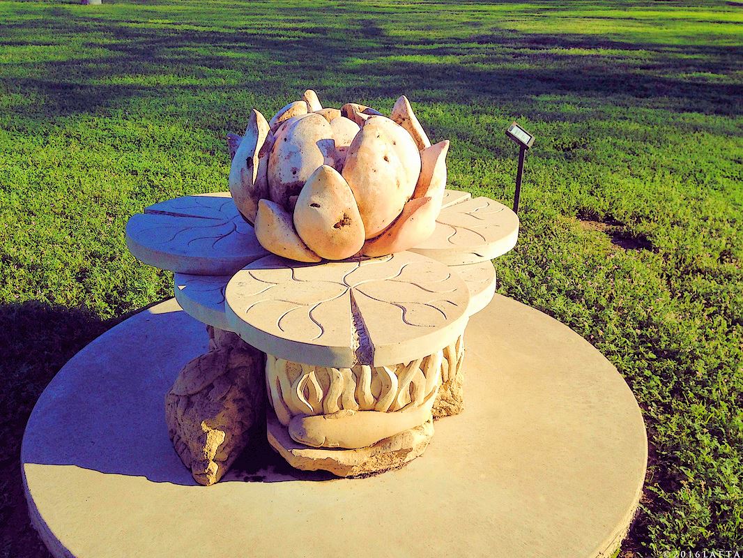 Lampasas Lily by Larry Hullum 2011