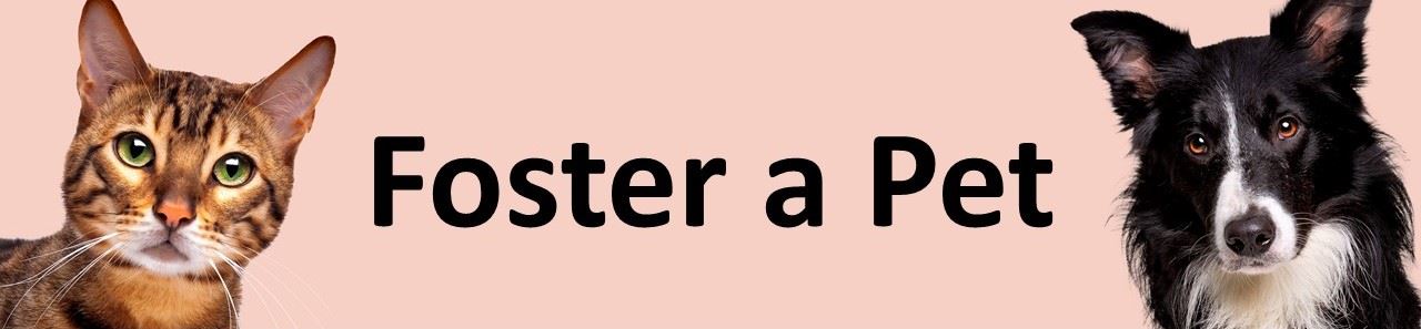 Foster a Pet